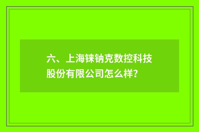 六、上海铼钠克数控科技股份有限公司怎么样?