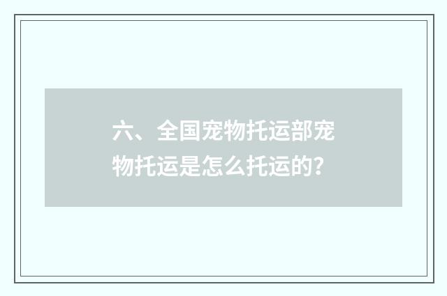 六、全国宠物托运部宠物托运是怎么托运的?
