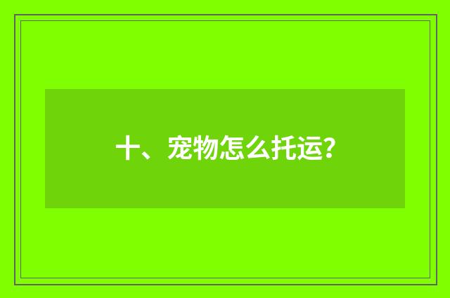 十、宠物怎么托运?