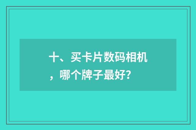 十、买卡片数码相机，哪个牌子最好？