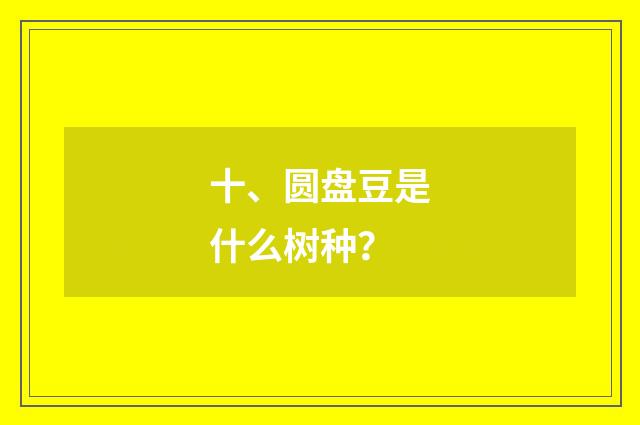 十、圆盘豆是什么树种？
