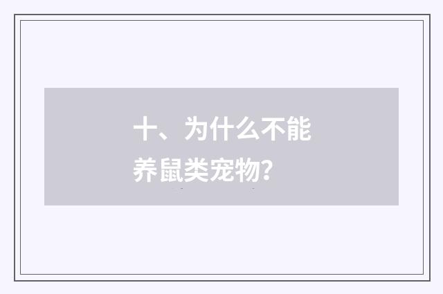 十、为什么不能养鼠类宠物？