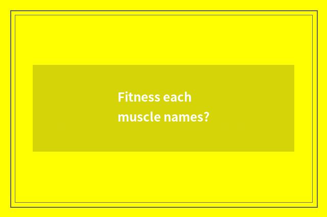 Fitness each muscle names?