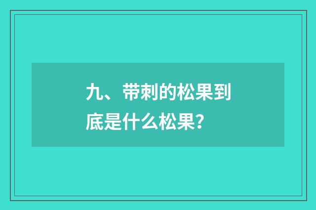 九、带刺的松果到底是什么松果?