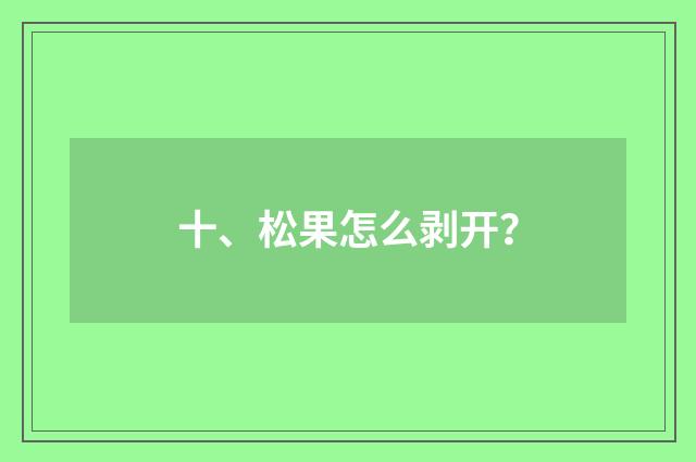 十、松果怎么剥开？