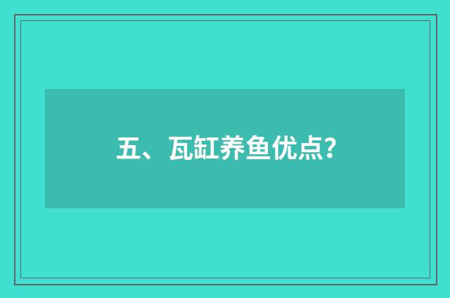 五、瓦缸养鱼优点？