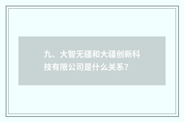九、大智无疆和大疆创新科技有限公司是什么关系?