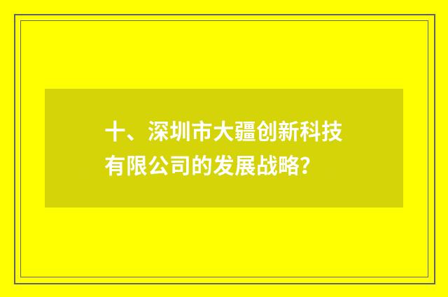 十、深圳市大疆创新科技有限公司的发展战略?
