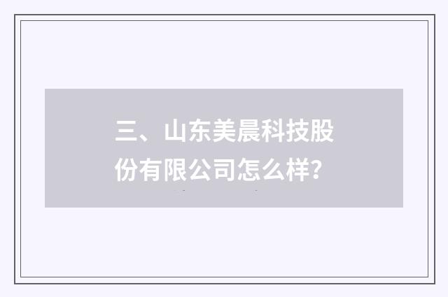 三、山东美晨科技股份有限公司怎么样？