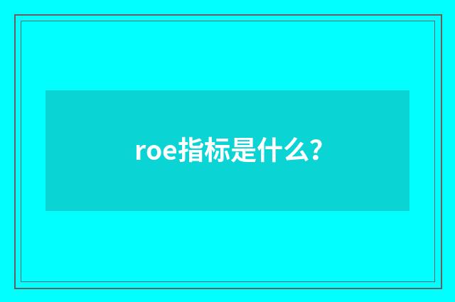 roe指标是什么？