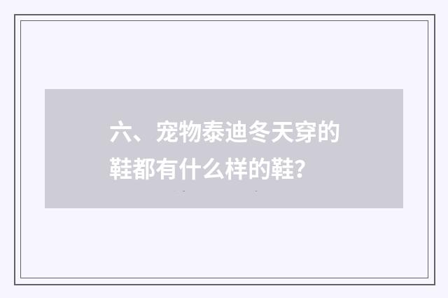 六、宠物泰迪冬天穿的鞋都有什么样的鞋？