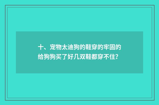 十、宠物太迪狗的鞋穿的牢固的给狗狗买了好几双鞋都穿不住？