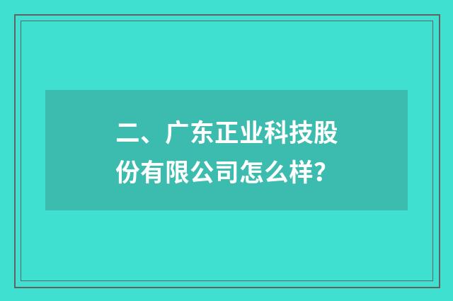 二、广东正业科技股份有限公司怎么样?