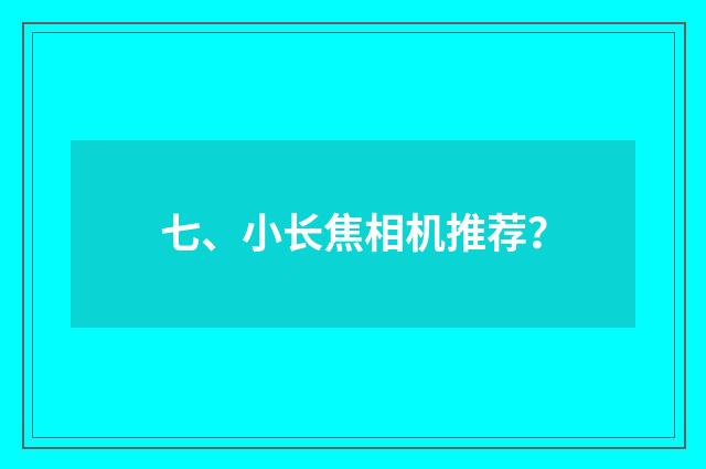 七、小长焦相机推荐?