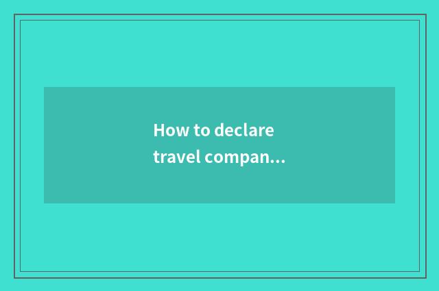 How to declare travel company?