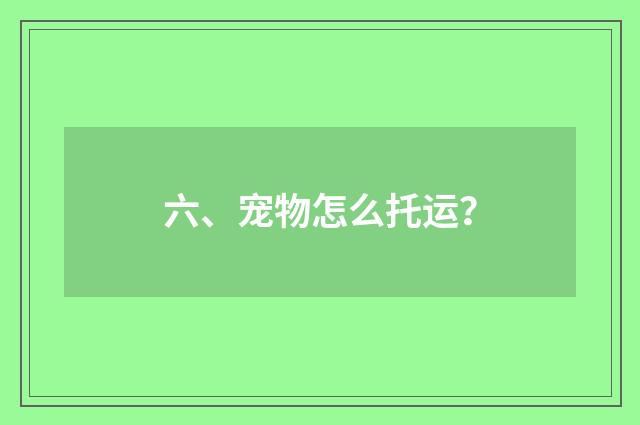 六、宠物怎么托运？