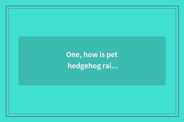One, how is pet hedgehog raised?