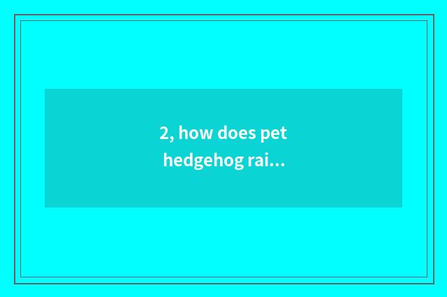 2, how does pet hedgehog raise a strategy?