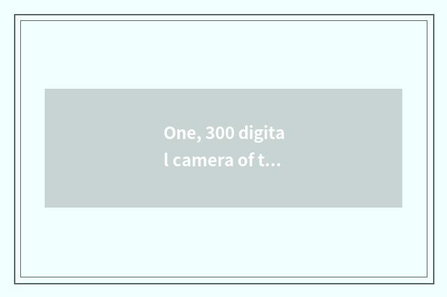 One, 300 digital camera of the left and right sides?
