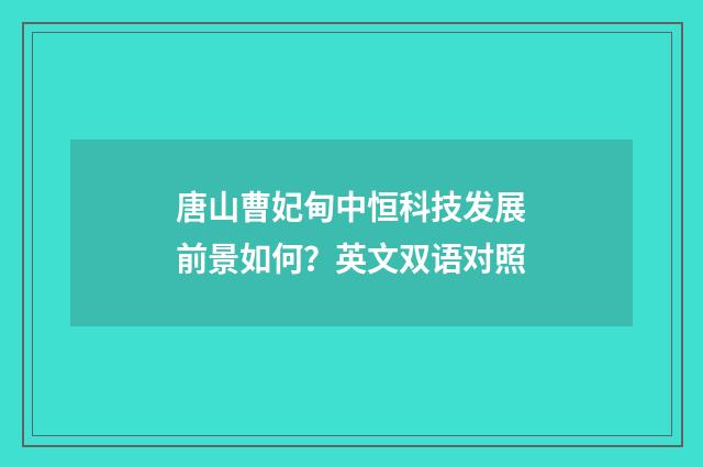 唐山曹妃甸中恒科技发展前景如何？英文双语对照