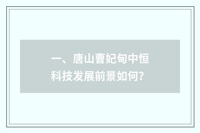 一、唐山曹妃甸中恒科技发展前景如何?