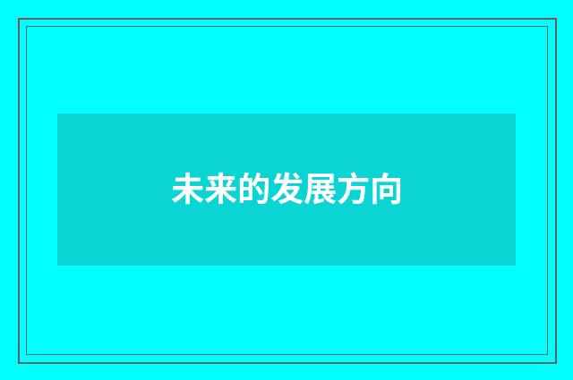 未来的发展方向
