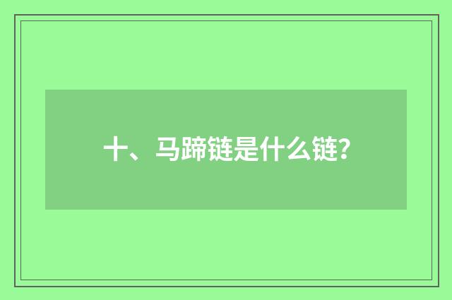 十、马蹄链是什么链？