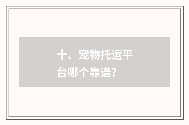 十、宠物托运平台哪个靠谱？