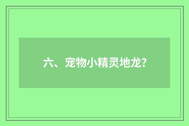 六、宠物小精灵地龙?