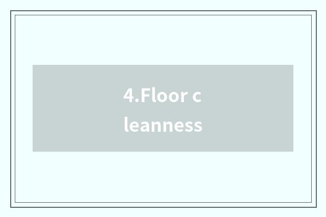 4.Floor cleanness