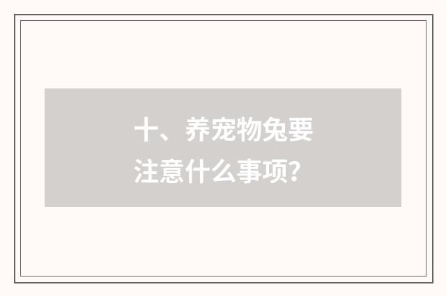 十、养宠物兔要注意什么事项?