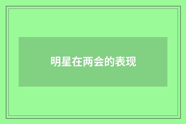 明星在两会的表现