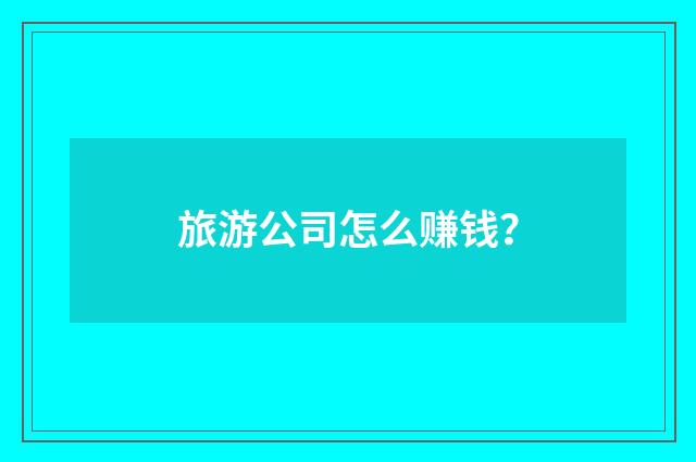 旅游公司怎么赚钱?