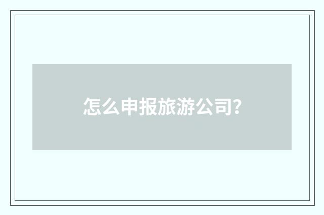怎么申报旅游公司?