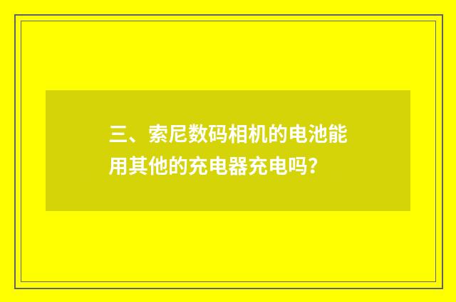 三、索尼数码相机的电池能用其他的充电器充电吗?