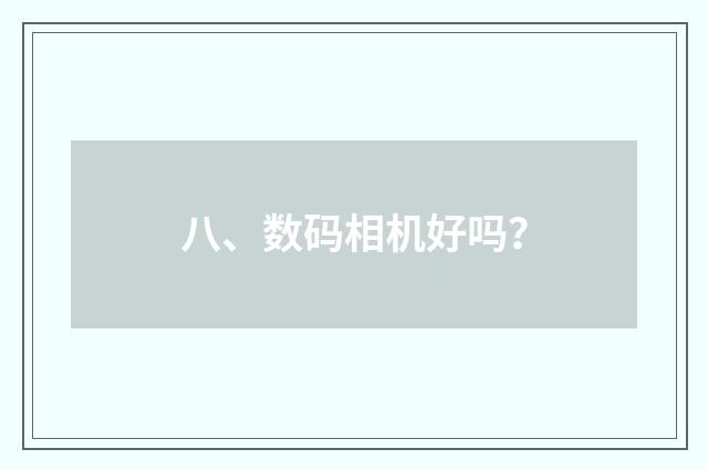 八、数码相机好吗?