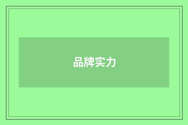 品牌实力