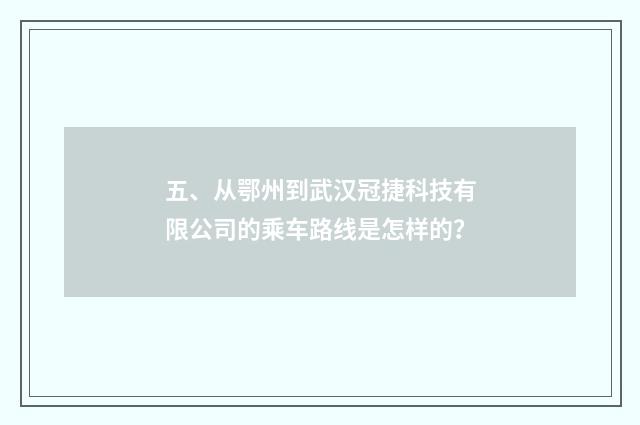 五、从鄂州到武汉冠捷科技有限公司的乘车路线是怎样的?