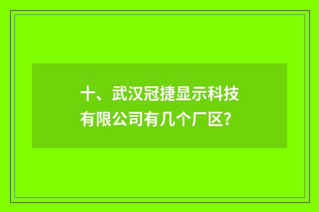 十、武汉冠捷显示科技有限公司有几个厂区?