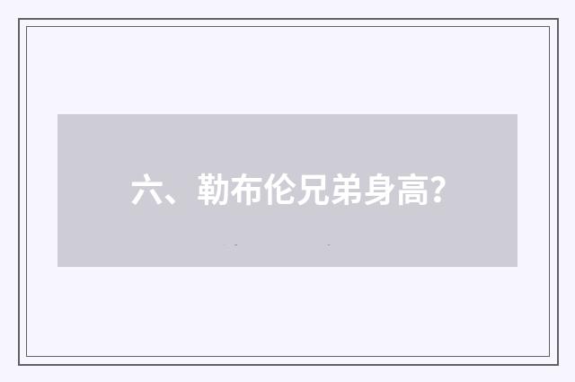 六、勒布伦兄弟身高?