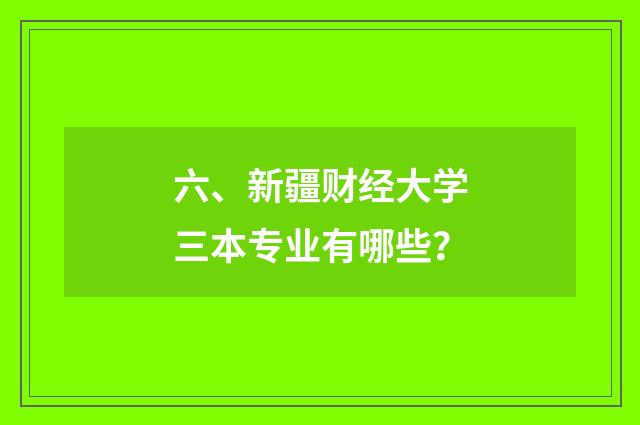 六、新疆财经大学三本专业有哪些？