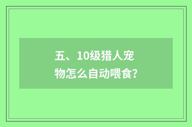 五、10级猎人宠物怎么自动喂食？