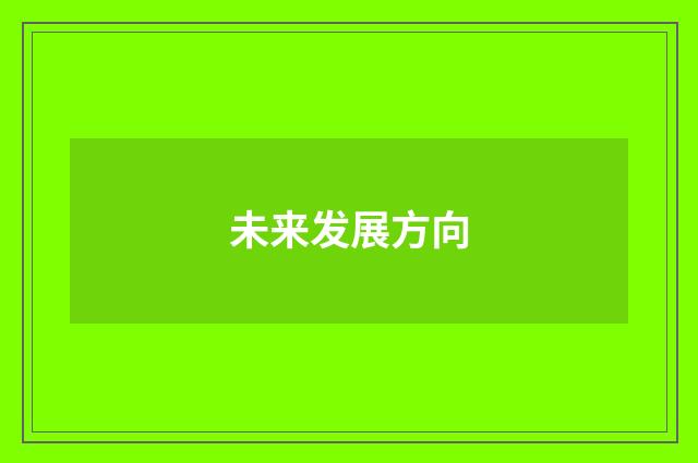未来发展方向