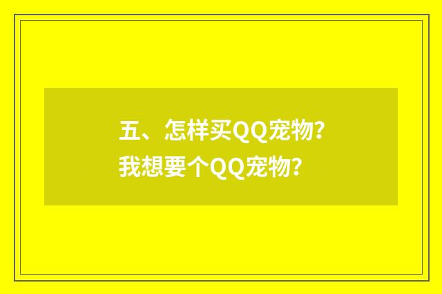 五、怎样买QQ宠物？我想要个QQ宠物？