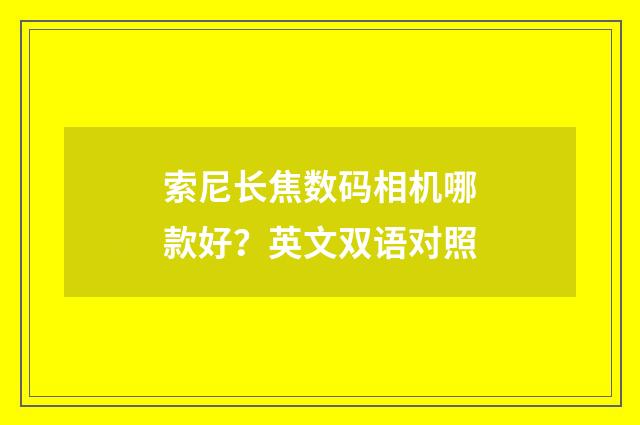 索尼长焦数码相机哪款好?英文双语对照