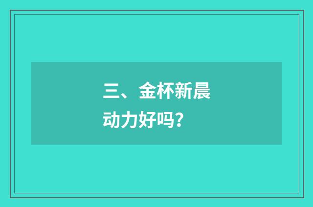 三、金杯新晨动力好吗？