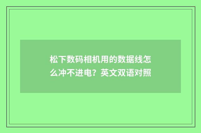 松下数码相机用的数据线怎么冲不进电？英文双语对照