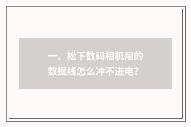 一、松下数码相机用的数据线怎么冲不进电？