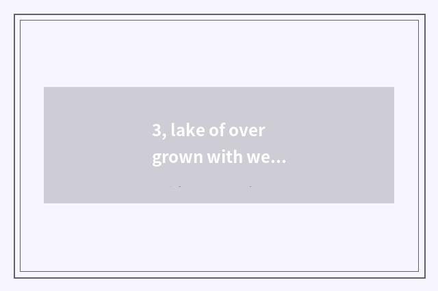 3, lake of overgrown with weeds is technical school good?
