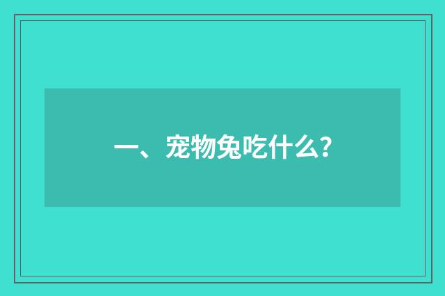 一、宠物兔吃什么？